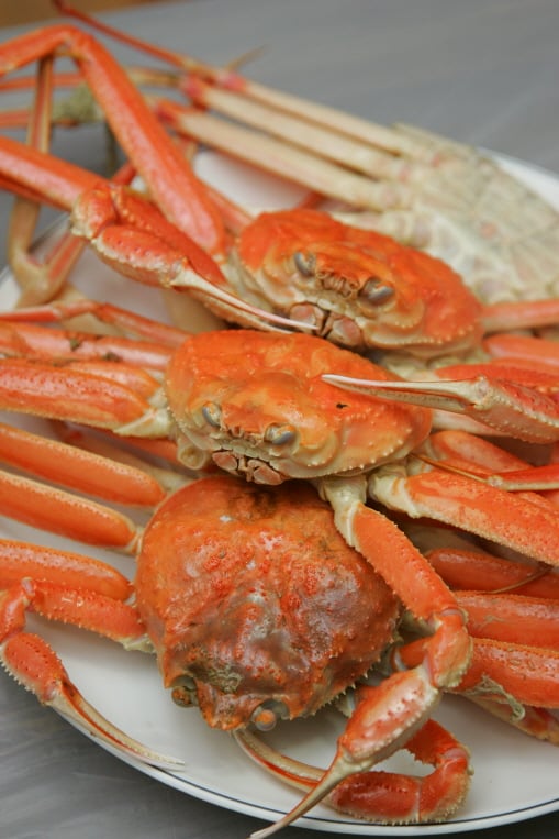 ▲죽변항의 위판장 모습