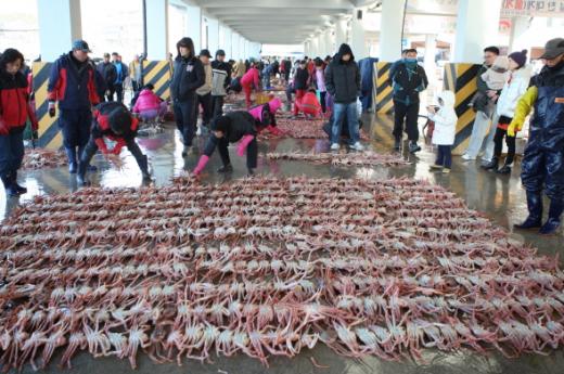 ▲후포항의 아스름한 모습