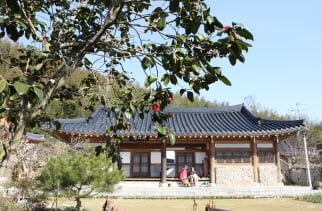 ▲모평마을의 봄