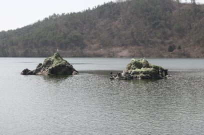 ▲함평에 있는 독도섬