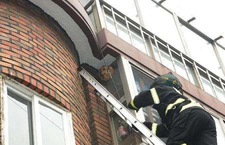 ↑ 지난해 7월 도봉구  빌라 4층 외벽에 발견된 말벌집을 119 구조대가 포획기구로 제거하는 모습 ⓒ서울시