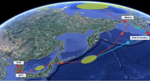 ↑첫 북극탐사에 나서는 쇄빙연구선 '아라온'의 항적도