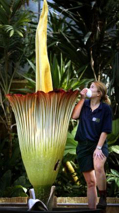 ▲ 냄새 때문에 마스크 쓴 직원