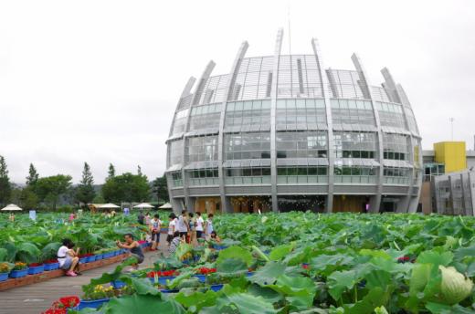 ▲백련지 주변풍경