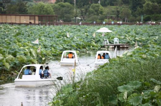 ▲백련지 보트탐사