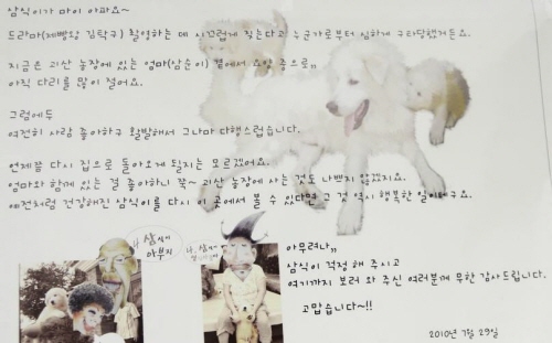 ↑삼식이 구타 소식 전하는 안내글