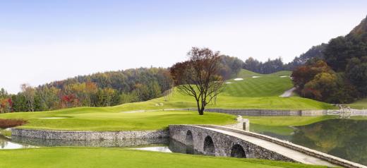 ▲느티나무 5번홀