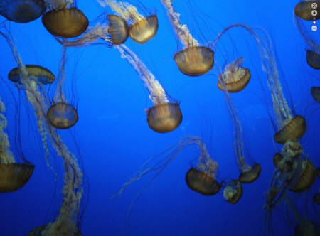 ↑내년 초 출시예정인 구글 넥서스S의 카메라로 촬영한 사진