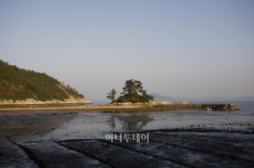 ▲영화 축제의 배경이 된 전남 장흥의 소등섬