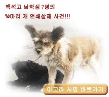 한 포털사이트 아고라 ‘이슈 청원’에 많은 네티즌들이 참여해 이번 사건의 수사 촉구를 요구하고 있다.