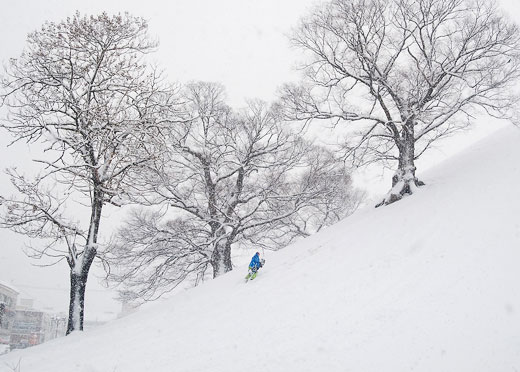 글쓴이가 17일 한 인터넷 포털사이트 아고라 게시판에 "경주 왕릉위에서 보드 타던 무개념"이라는 제목으로 올린 사진.