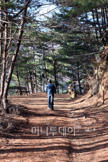 ▲영양대티골 아름다운 숲길