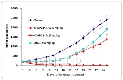 ↑ 표준치료제인 Arac-100mg 투여 시 22% 개선
CWP231A 25mg 투여 시 100% 암 조직 사멸
자료:JW중외제약