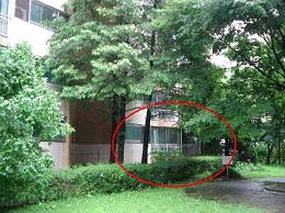 ↑송도동 풍림아파트ⓒ부동산태인