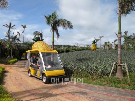 태평양 전쟁 당시 징용당해 희생된 한국인들의 넋을 기리기 위해 1975년 세워진 한국인 위령탑.