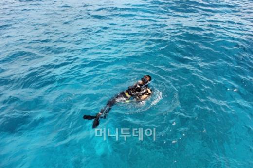 스쿠버다이빙 당시 수중 촬영 모습. 수면 위로 굴절되는 빛이 예술이다.