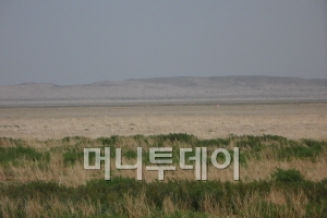 감봉으로 푸른 초원으로 변한 사막과 앞으로 초원화해야 할 사막화된 차깐노르.