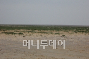 감봉을 심어 푸른 초원으로 변하고 있는 차깐노르.