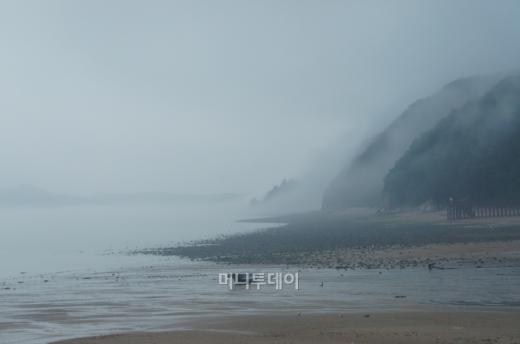 ↑왜목마을의 물안개.