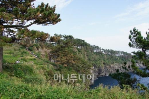 올레 6코스의 끄트머리인 외돌개 인근 구간.