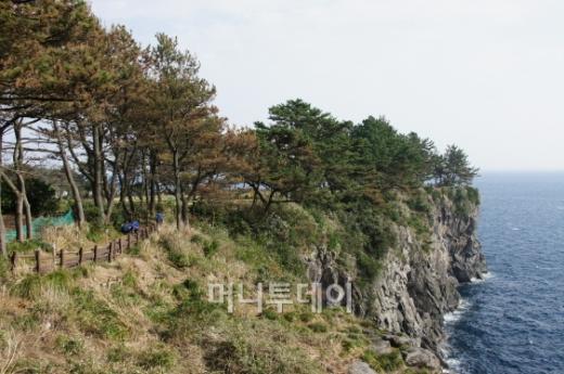 매일올레시장의 수변물길. 민물장어 등 토종물고기를 방류해 방문객들이 휴식과 여유를 가질 수 있도록 배려했다.