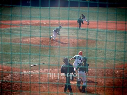 ↑ 직장 야구 선수권에 참여한 선수들이 동료의 멋진 플레이에 만세를 부르고 있다.ⓒ송학주