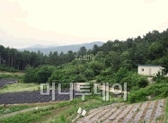 ↑경기 여주군 대신면 당산리 토지ⓒ부동산태인