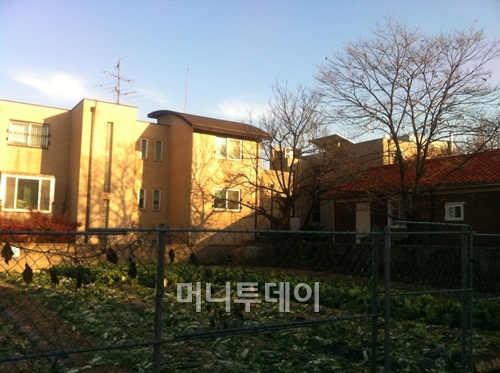 ↑서울 강남구 수서동 단독주택 밀집지역. ⓒ최윤아 기자