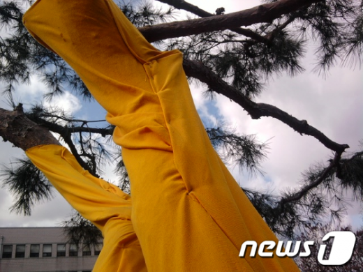 서울대 미대 2011학년도 졸업전 중 스테이플러를 나무에 찍어 문제가 된 작품.  서울대 커뮤니티 스누라이프 캡쳐.