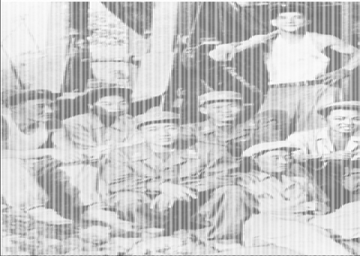 북한 노동신문은 21일 김정일 국방위원장의 옛 사진을 일부공개했다. 이날 공개 된 사진은 주로 1960년대 김 위원장이 김일성대학을 다니던 시절들의 사진으로 지금에 비해 얼굴 생김새가 분명하고 체구가 컸던 김 위원장의 모습을 확인할 수 있다.  News1 서재준 기자