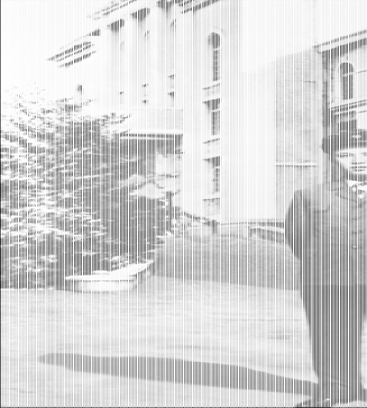 북한 노동신문은 21일 김정일 국방위원장의 옛 사진을 일부공개했다. 이날 공개 된 사진은 주로 1960년대 김 위원장이 김일성대학을 다니던 시절들의 사진으로 지금에 비해 얼굴 생김새가 분명하고 체구가 컸던 김 위원장의 모습을 확인할 수 있다.  News1 서재준 기자