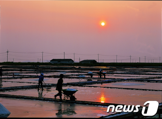 슬로시티로 지정된 전남 신안군 증도의 염전 모습/사진제공=전남도 News1