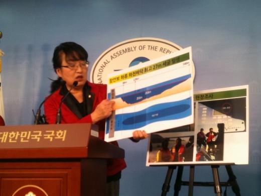 (기자회견 중인 김진애 의원/ 출처=김진애 의원 트위터)