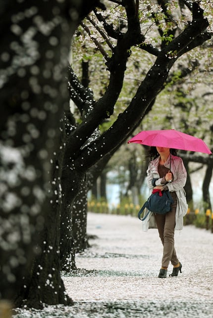 ↑조리개를 최대 개방해 주제만 살렸다.