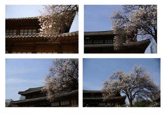 ↑처음 구도에서 불필요한 부분을 제외해 나간다면 생각보다 괜찮은 사진을 구할 수 있다.