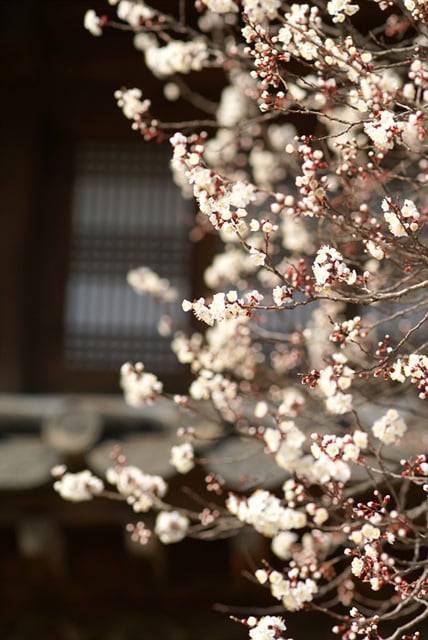 ↑아예 배경 자체를 빼버리면 어떨까. 수묵화 같은 느낌을 연출할 수 있다.