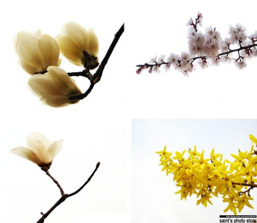 ↑예제2. 무조건 넓게 담는다면 평범한 기록사진만 남길 수 있다.