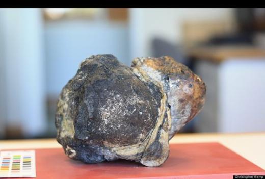 출처=허핑턴포스트  News1