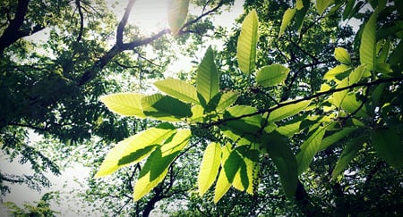 ↑겨울 일본 여행 중 설원에서의 인물사진. ⓒ류진아님