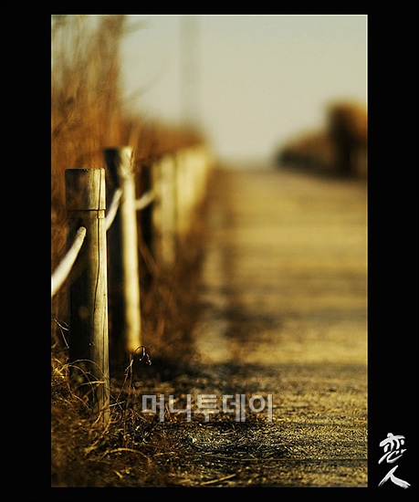 ↑제주도 해변가. 광각렌즈로 f값을 조여 촬영한 풍경사진. 광각렌즈를 사용하면 f값을 크게 낮추지 않아도 선명한 사진을 얻을 수 있다.