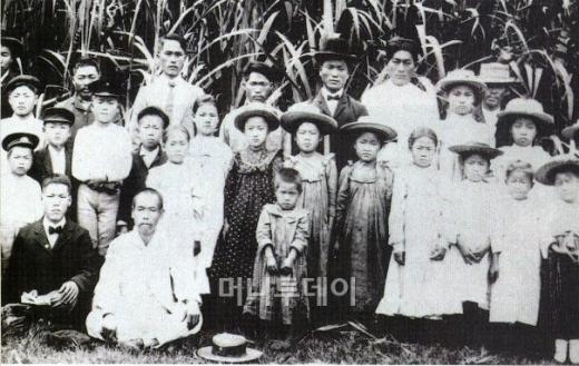 ↑1903년 하와이 사탕수수 노동자로 이주한 한인들