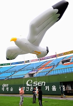 SK의 좌완 에이스 김광현(24)