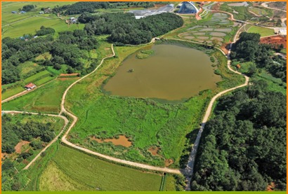 국립생태원 내 조성된 자연습지.  국립생태원 제공