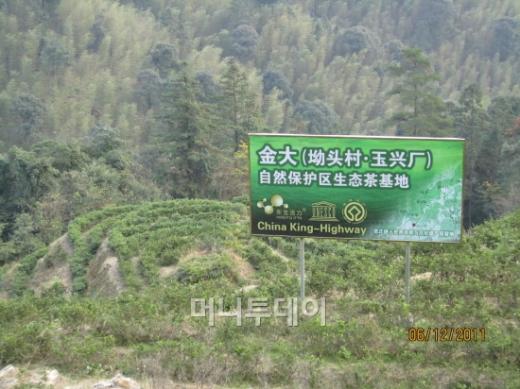 차이나킹 자체 차(茶) 재배단지