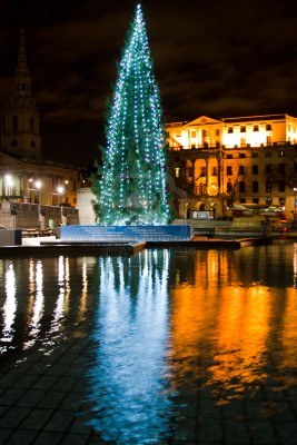 ▲런던 트라팔가 광장의 클래식한 크리스마스트리. (ⓒGoogle검색)