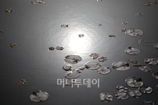 ▲'사진'을 통해 나누는 즐거움을 알게 됐다는 이씨. 환우들에게도 직접 찍은 사진을 보여주고, 선물하며 밝은 곳으로 나오라고 '자극'한다.