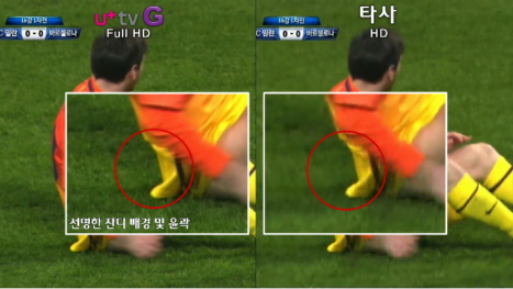 ↑순차주사(위)와 비월주사(아래)