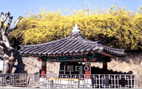 ↑몽고정 ⓒ몽고식품 홈페이지