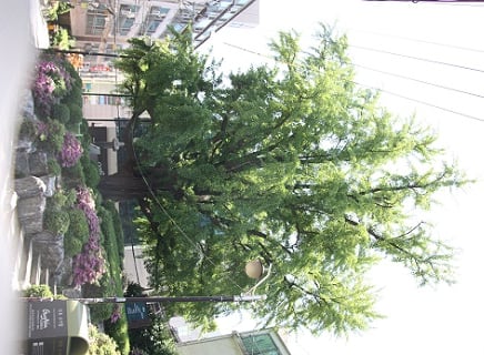 강남구 대치동 구마을 / 사진 = 김유경 기자