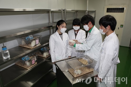 사진=한국폴리텍대학교 바이오캠퍼스 제공